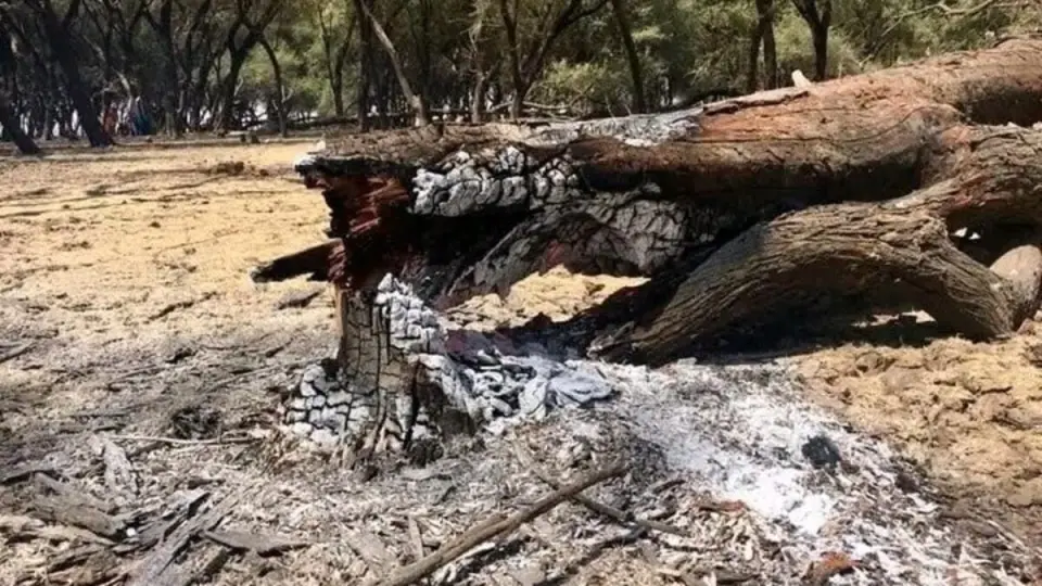 الحرب تعيد الزمن إلى الوراء... أفران الحطب تشتعل مجدداً في الخرطوم