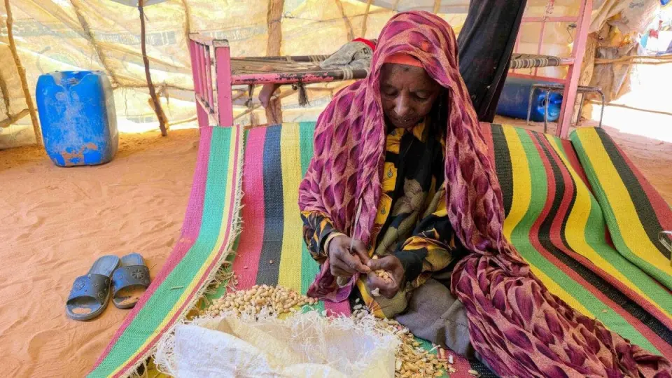 السودان.. تحذير أممي من تدهور الوضع الإنساني في الأبيّض