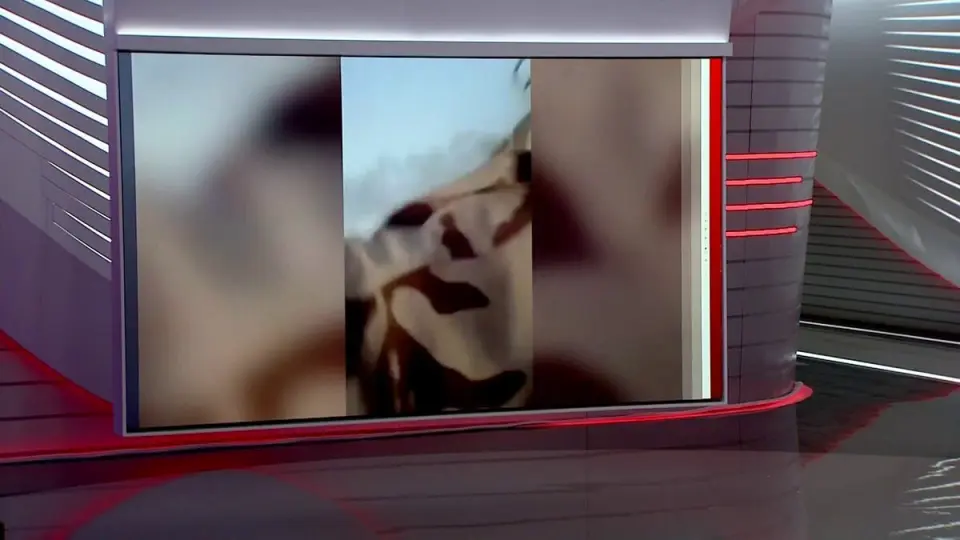 تشاد تغلق حدودها مع السودان إثر مقتل نجل زعيم عشيرة المحاميد