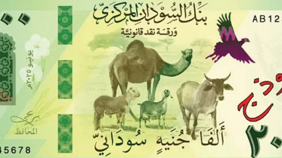 ارتفاع جديد لسعر الدولار الجمركي في السودان